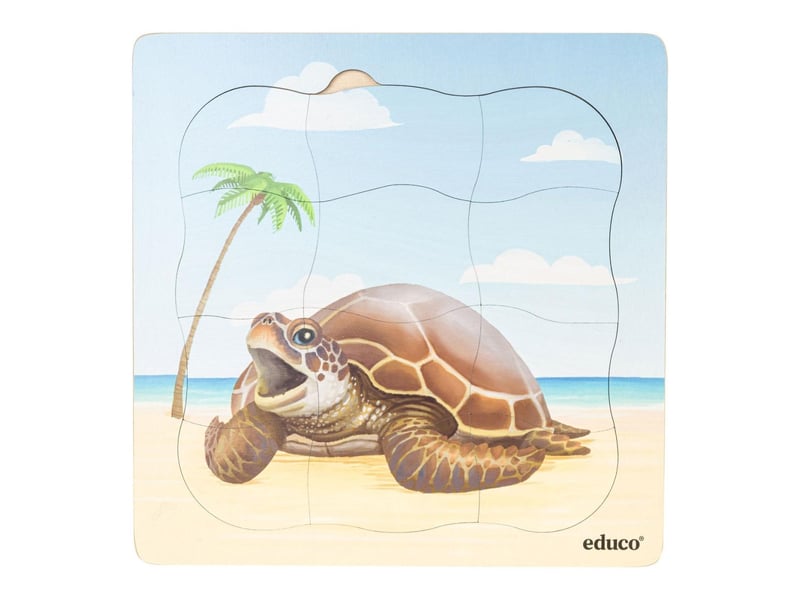  Educo sur la plage - lot combiné  5 puzzles 8719924065218 - Conforama C