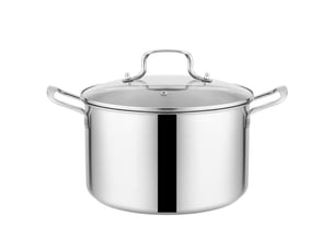 Marmite en acier inoxydable avec couvercle diamètre 25.2cm argenté