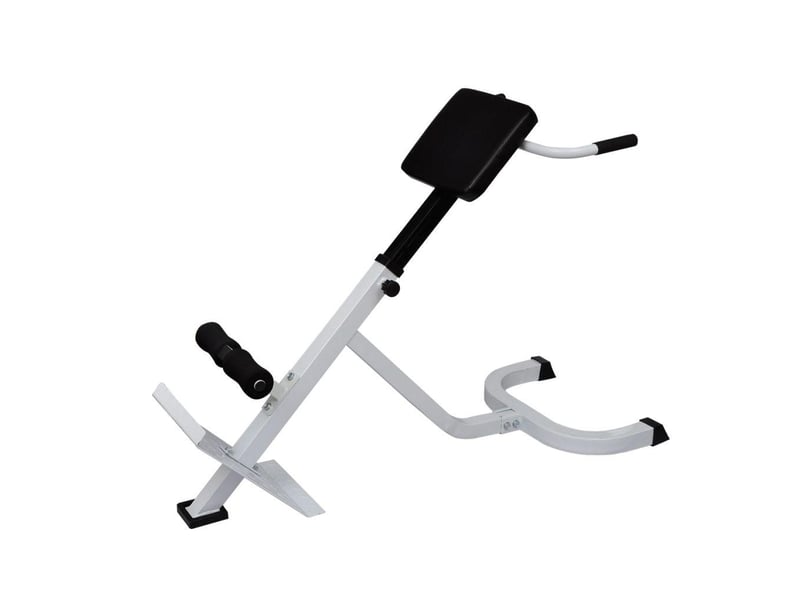  Banc de musculation du dos acier sport fitness musculation blanc et noir 02_0000032  - Conforama A