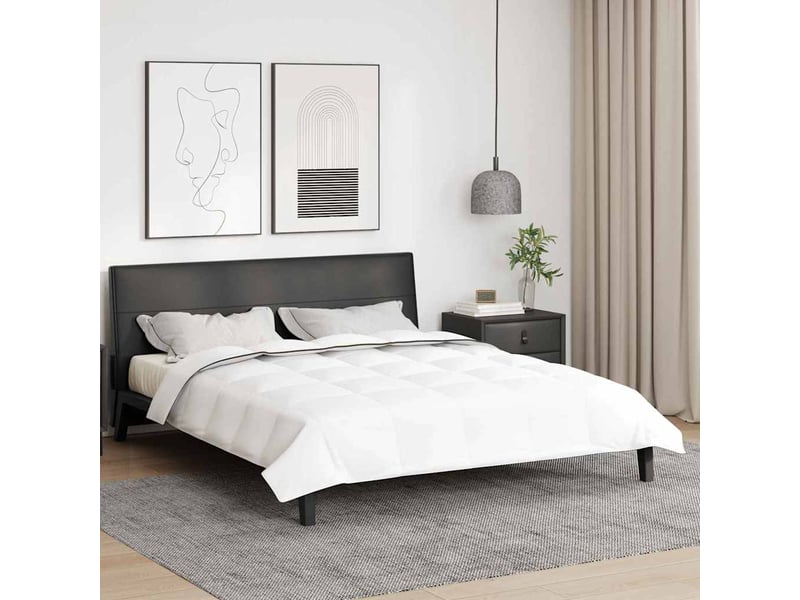  Duvet d'hiver - couette 200 x 240 cm hiver - couette plume blanc respirant  - Conforama B