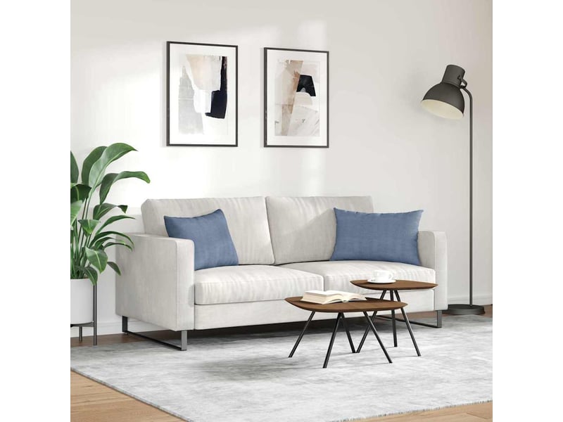 Lot de 2 coussins de canapé, coussins décoratifs bleu 60 x 40 cm cf59006 - Conforama D