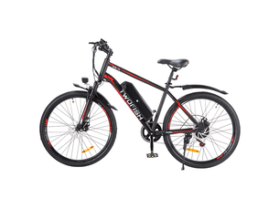 Vélo électrique twofish tf01, 36v 250w 15ah, 26 tout-terrain, noir&rouge