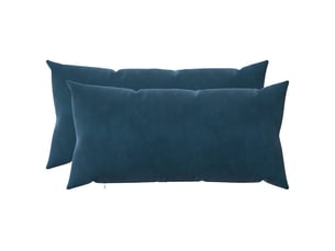 Lot de 2 coussins avec oreiller, coussins décoratifs heerlen bleu velours cf50434