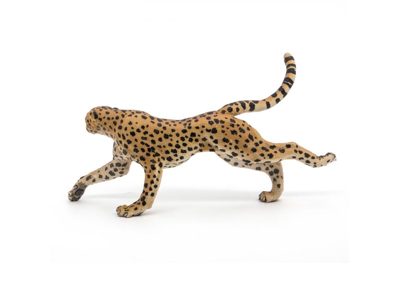 Guépard courant papo figurine 50238 - Conforama A