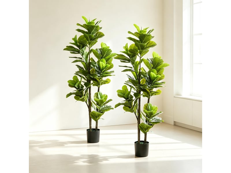 Lot de 2 figuiers lyre artificiels 150 cm avec pots en ciment, plantes décoratives d’intérieur - Conforama E
