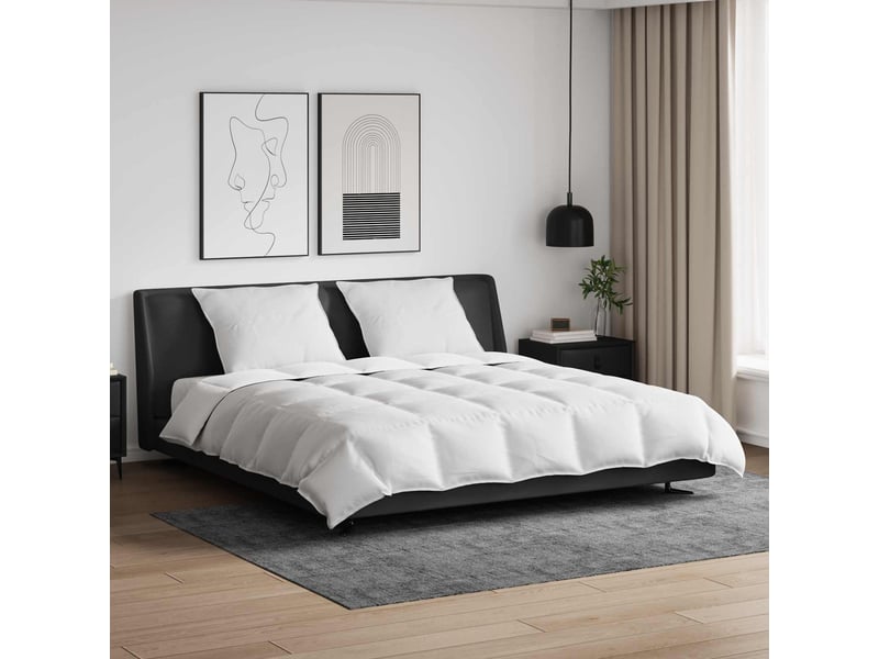  Ensemble de duvet avec oreiller 3 pcs - couette blanc plume de canard  - Conforama B