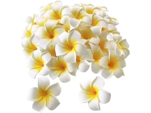 Lot de 100 pétales de frangipanier artificiels hawaïens en mousse blanche pour chapeau et cheveux-aquaforge