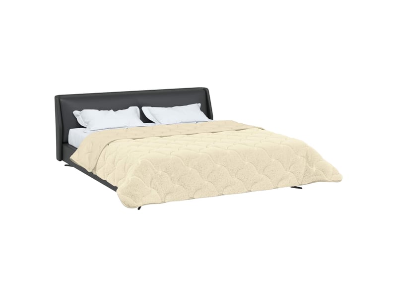  Duvet d'hiver - couette 200 x 220 cm hiver - couette crème respirant  - Conforama C
