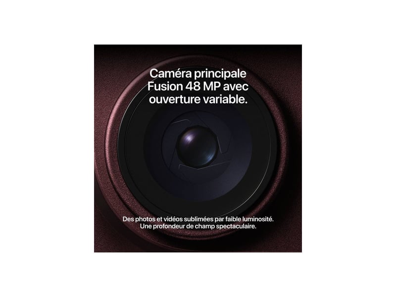  Smartphone 18 pro max 2tb a20 pro ip68 bordeaux IP18PROM2TBURG - Conforama B