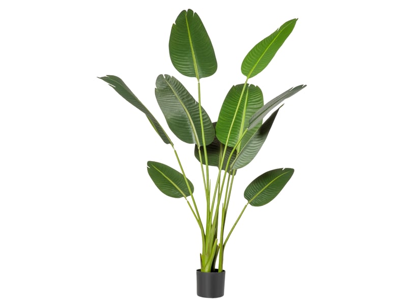  Bananier artificiel 160 cm, 10 feuilles, pot inclus, vert, intérieur extérieur maison bureau  - Conforama B