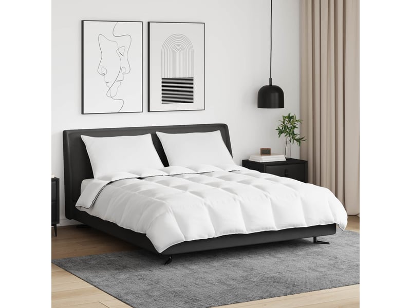  Duvet d'hiver avec oreiller 3 pièces - couette blanc plume de canard  - Conforama B