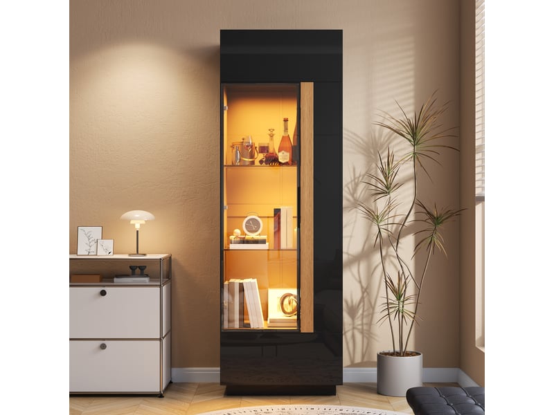  Vitrine haute 60 x 40 x 180 cm pour salon, porte vitrée, rangement fermé, éclairage led ,noir ABC - Conforama E