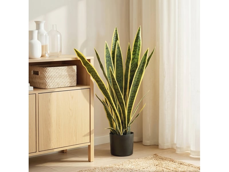  Plante artificielle sansevieria 15x15x77 cm feuilles flexibles verte  - Conforama B