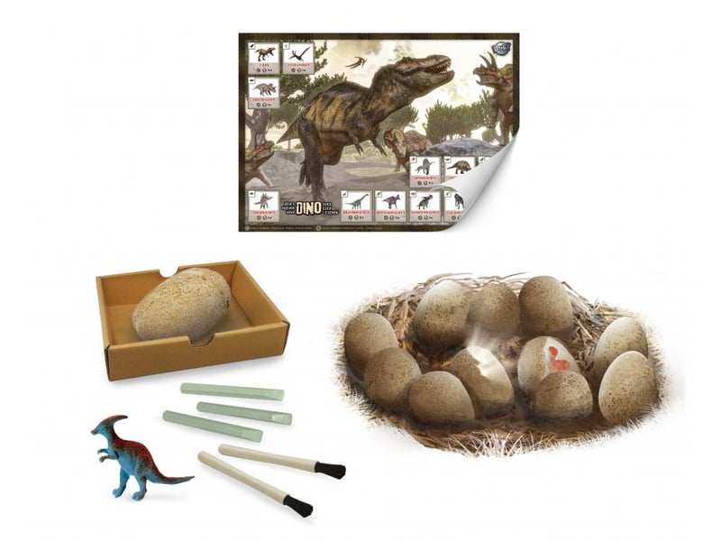  Dino egg maxi pack 12 oeufs à fouiller et creuser 2138 - Conforama C