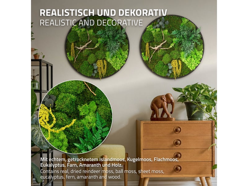 Ecd germany tableau végétal mural stabilisé, ø 60 cm, mélange de mousses avec eucalyptus, fougères et bois naturel, effet 3d, sans entretien, cadre mdf rond, décoration d'intérieur, style jungle ECD Germany GmbH - Conforama C