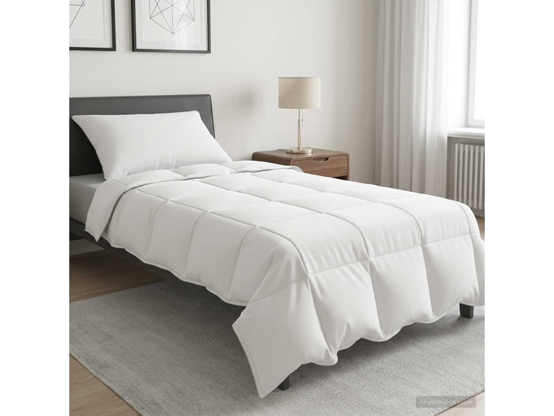  Ensemble de duvet 2 pcs - couette 155 x 200 cm hiver bambou blanc  - Conforama B