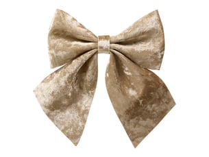 Noeud velours ambre 24x20