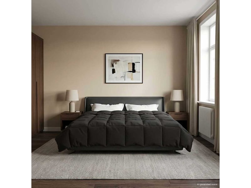  Couette - duvet d'été 220 x 240 cm été microfibre (100% polyester)  - Conforama D