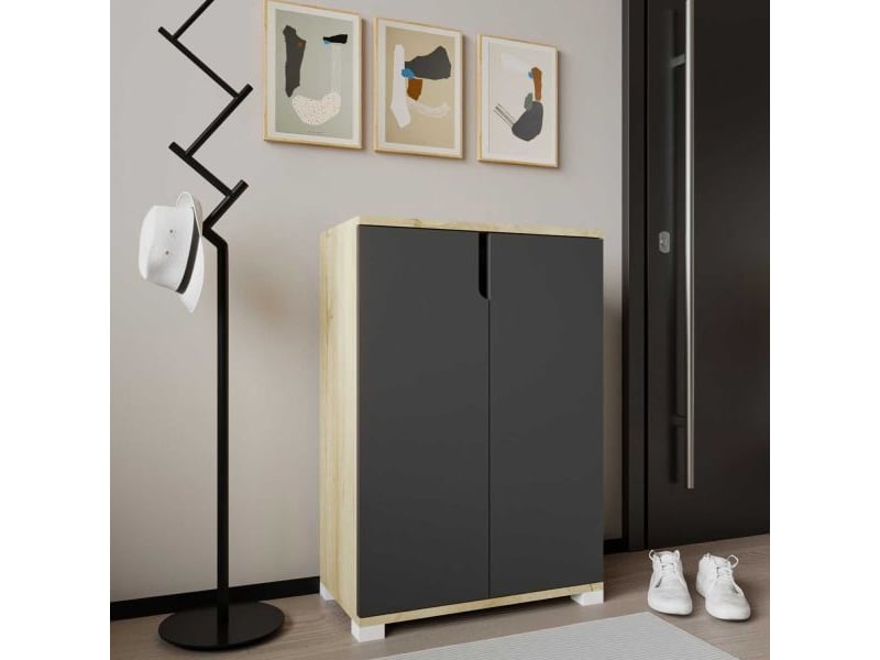  Meuble à chaussures 2 portes en aggloméré venedik anthracite et chêne  - Conforama E