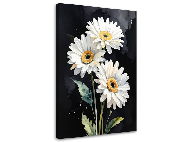 Tableaux, fleurs marguerites blanches sur fond noir 80x120 1312611675 - Conforama A
