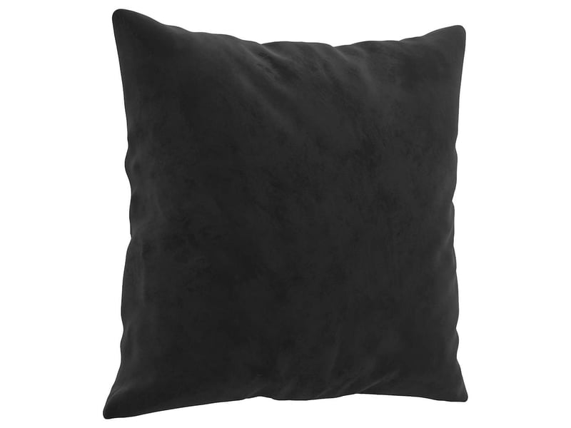  Lot de 2 coussins décoratifs noir 40x40 cm velours cf60882  - Conforama C