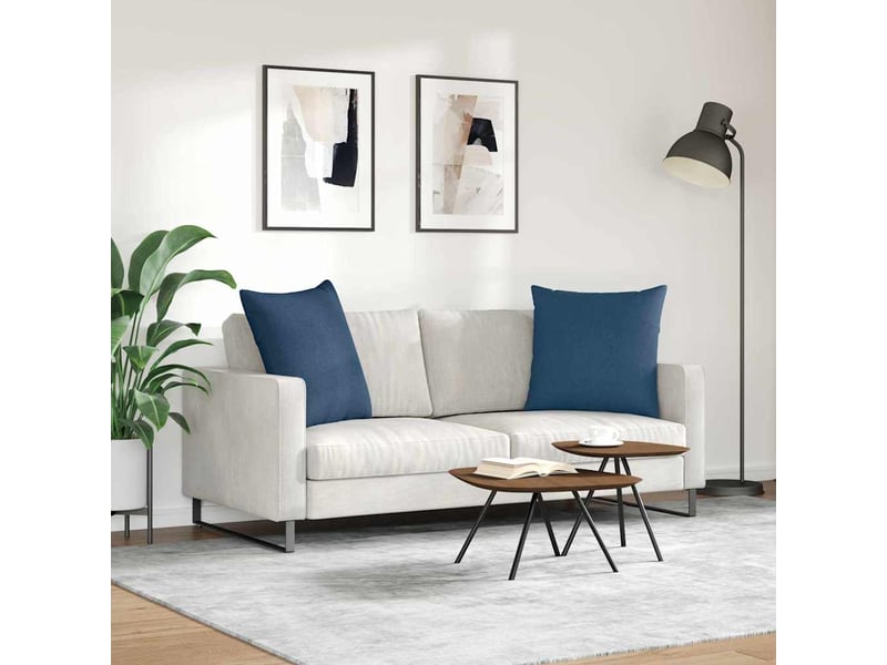  Lot de 2 coussins de canapé, coussins décoratifs tissu bleu 80 x 80 cm cf58782  - Conforama D