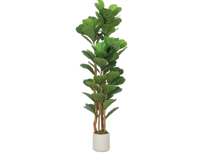  Arbre à figuiers artificiel avec 71 feuilles pour un vert naturel tout au long de l'année  - Conforama A