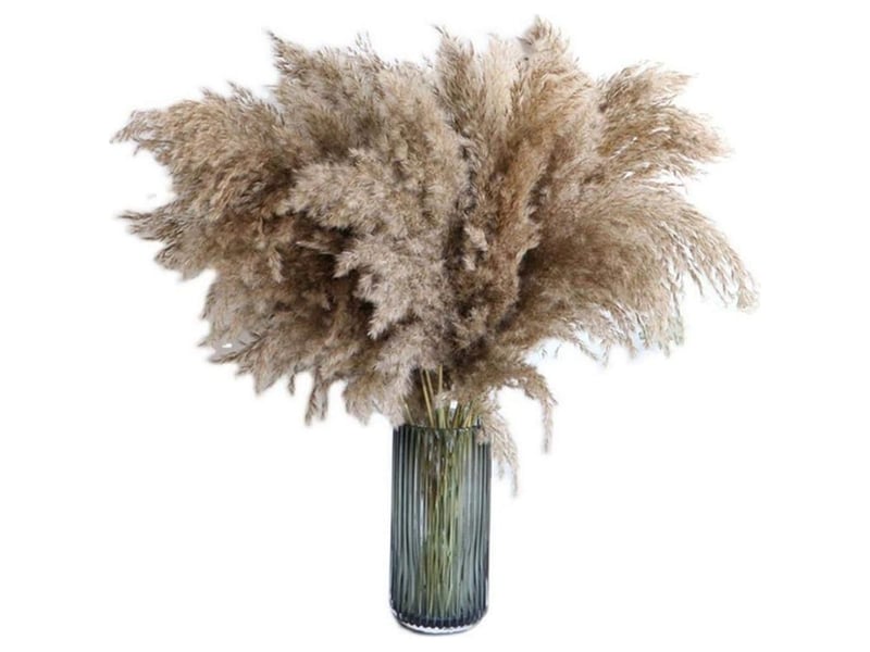  Ahlsen herbe de la pampa, 20 pièces, 60 cm, séchée naturellement, mariage, bouquet tendance, fleurs artificielles, pour décoration intérieur, vases intérieur  - Conforama A