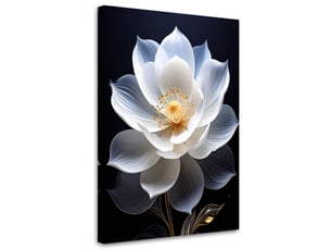 Tableaux, grande fleur blanche délicate sur fond noir 20x30