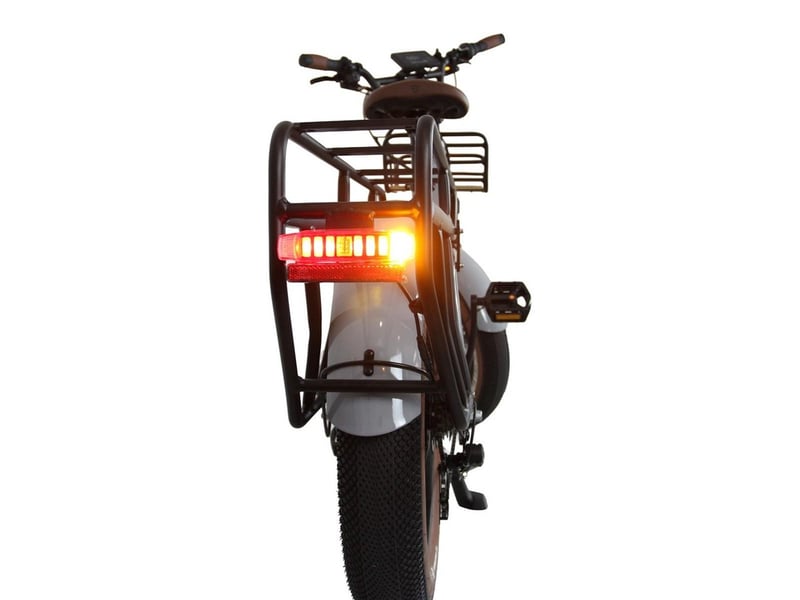  Tecnobike nsr e-cargo mia 20 gris brillant 3567850002082 - Conforama E