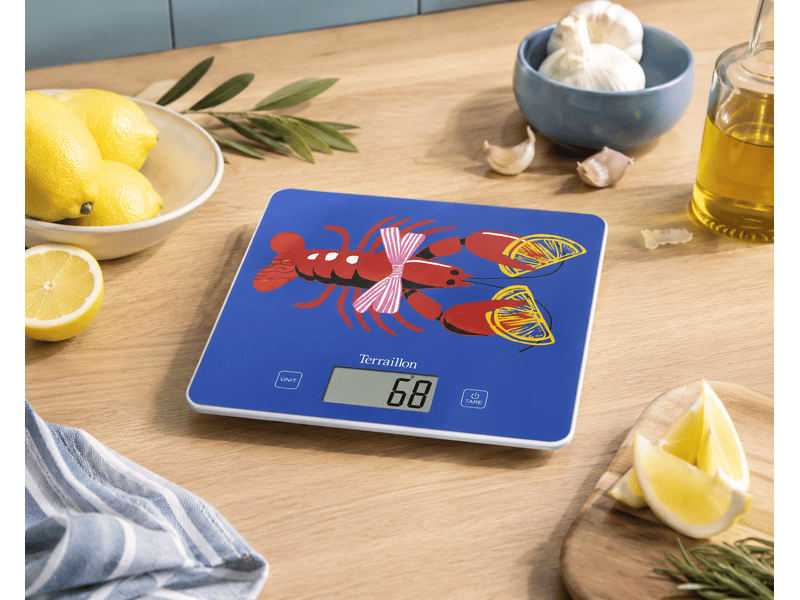  Balance de cuisine t1040 lemon vibes terraillon 15621  - Conforama B