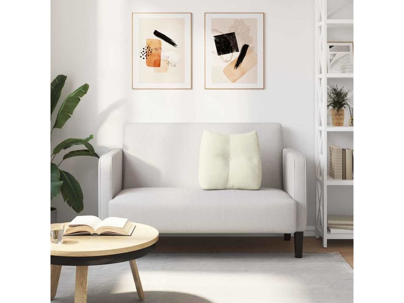  Coussin de dos, coussin de dossier crème 45 x 24 x 50 cm velours cf54629  - Conforama D