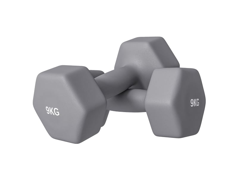  Lot de 2 haltères hexagonales de 9 kg en métal et plastique avec poignée antidérapante, 25 x 11 x 11 cm, grises  - Conforama A