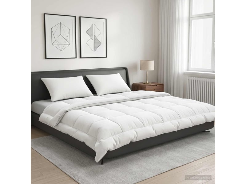  Ensemble de couette et d'oreiller 3 pcs - duvet 240x260 cm été 200 gsm  - Conforama B