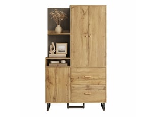 Meuble d'entrée avec 1 porte, 2 tiroirs et rangement en mdf 110×38×186 cm noir naturel