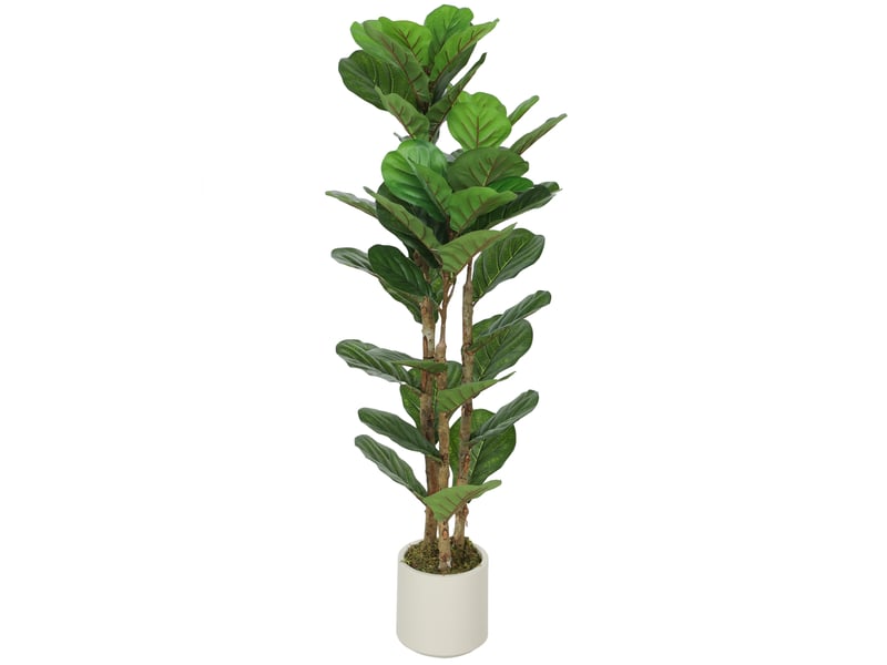  Plante artificielle intérieure 120 cm figuier lyre arbre artificiel avec pot en plastique et tronc en bois massif, vert  - Conforama B