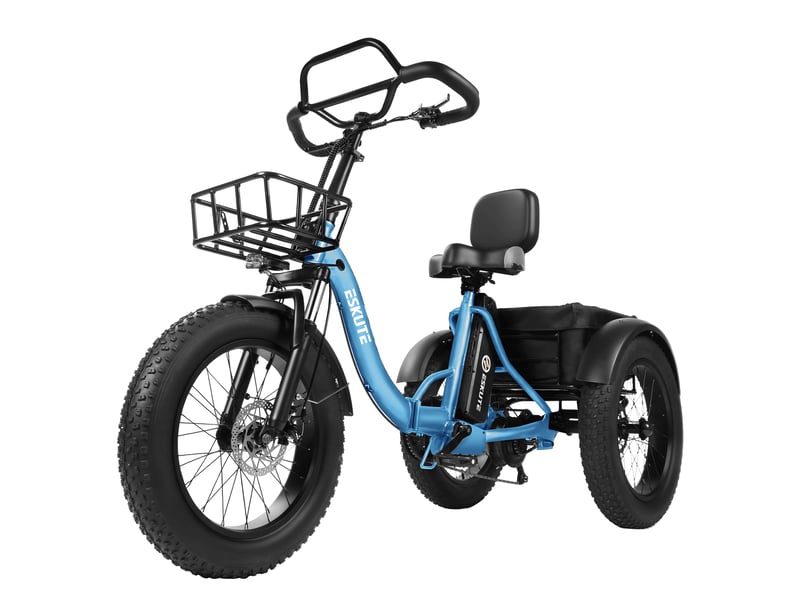  Tricycle électrique 20 eskute t302pro, 48v 250w 20.8ah, bleu  - Conforama E