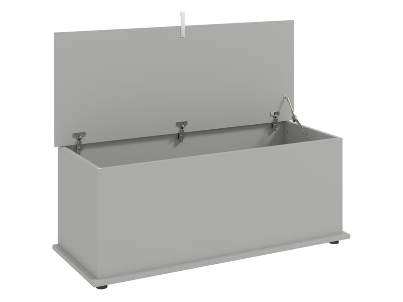 Coffre de rangement, banc de rangement avec couvercle rabattable et charnières de sécurité, gris, 100 x 40 x 40 cm - Conforama B
