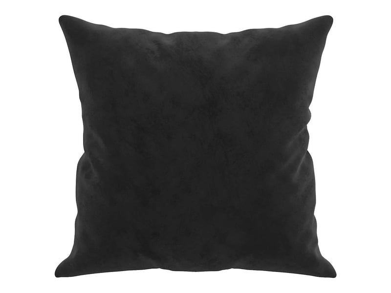  Lot de 2 coussins décoratifs noir 40x40 cm velours cf60882  - Conforama D