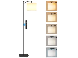 Lampadaire dimmable 2 températures de couleur avec télécommande, minuterie de 60 minutes, 160 cm, noir