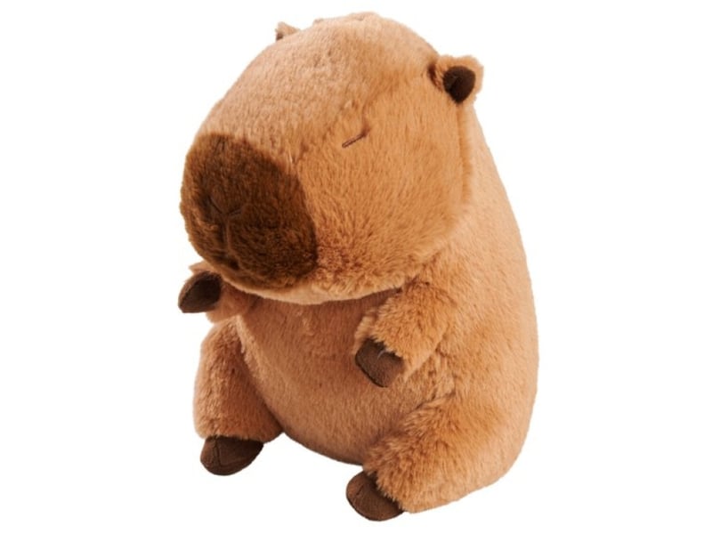  Peluche capybara - 25 cm  - Conforama B