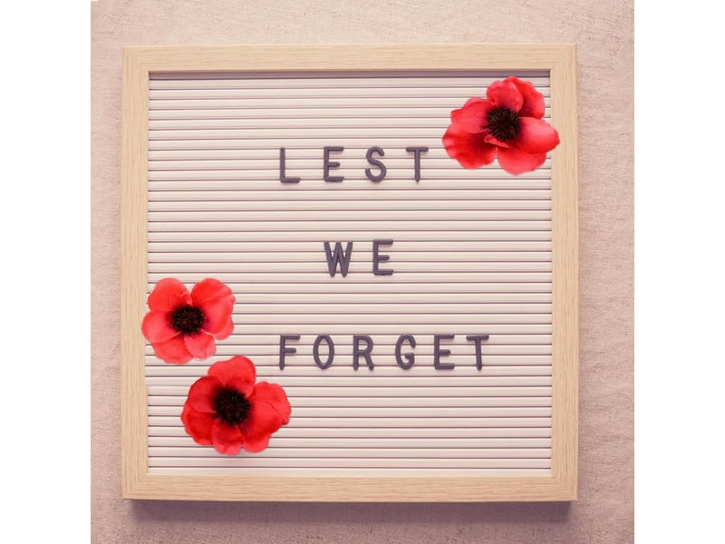  Lot de 60 fleurs de coquelicot artificielles rouges, fausses fleurs pour la fête des morts, coquelicots pour la tête, fleurs sauvages artificielles avec branche de fleur pour bouquet du jour  - Conforama C