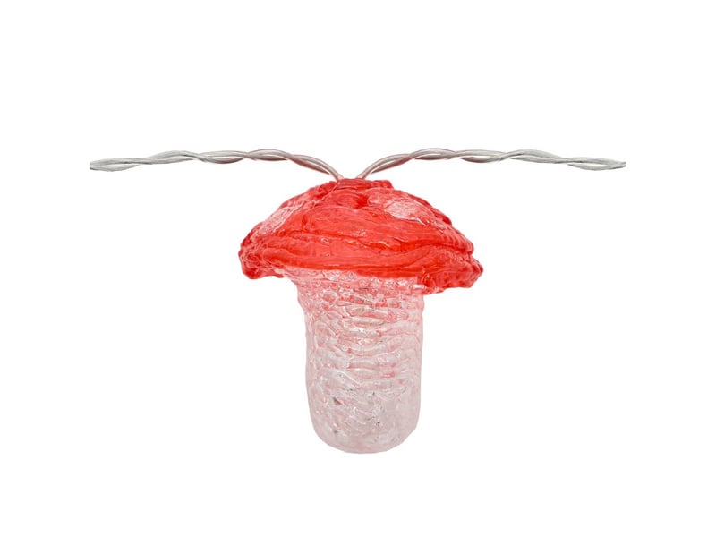  Guirlande champignon lumineuse d'extérieur grand format 10 led fixe l. 180 cm solaire  - Conforama B