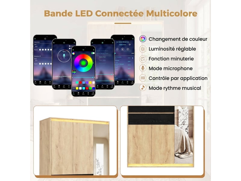  Armoire de chambre avec miroir, portes battantes chêne et anthracite, éclairage led, 110x47x200 cm  - Conforama R