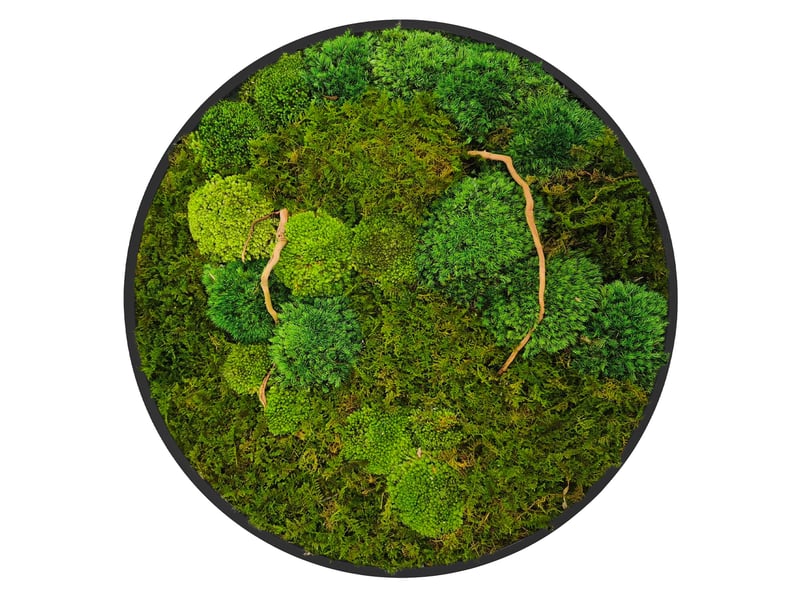Ecd germany tableau végétal mural, mélange de mousses stabilisées et de branches, cadre en mdf rond ø 40 cm, vert, décoration d'intérieur véritable effet 3d, sans arrosage ni entretien, pièce unique ECD Germany GmbH - Conforama A