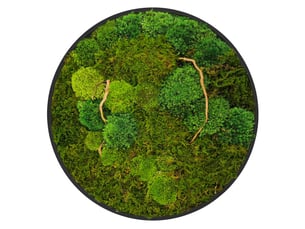 Ecd germany tableau végétal mural, mélange de mousses stabilisées et de branches, cadre en mdf rond ø 40 cm, vert, décoration d'intérieur véritable effet 3d, sans arrosage ni entretien, pièce unique