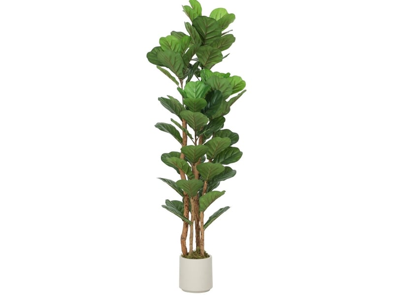  Plante artificielle ficus lyrata 50x50x150 cm – vert – 71 feuilles et tiges flexibles en pot blanc  - Conforama A