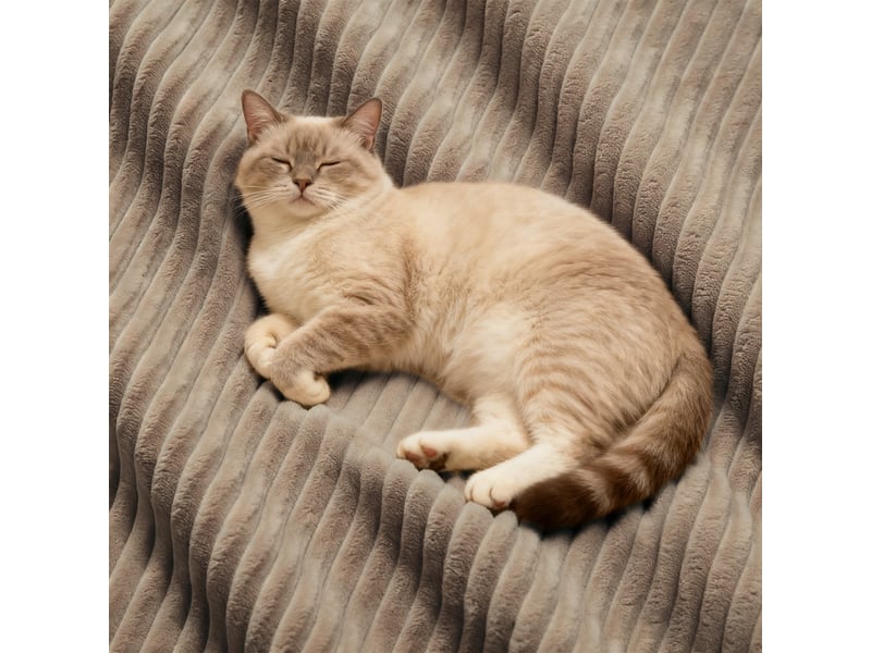  Canapé d’angle modulable profond velours côtelé marron – 206 x 206 x 69 cm Fay Lum - Conforama E