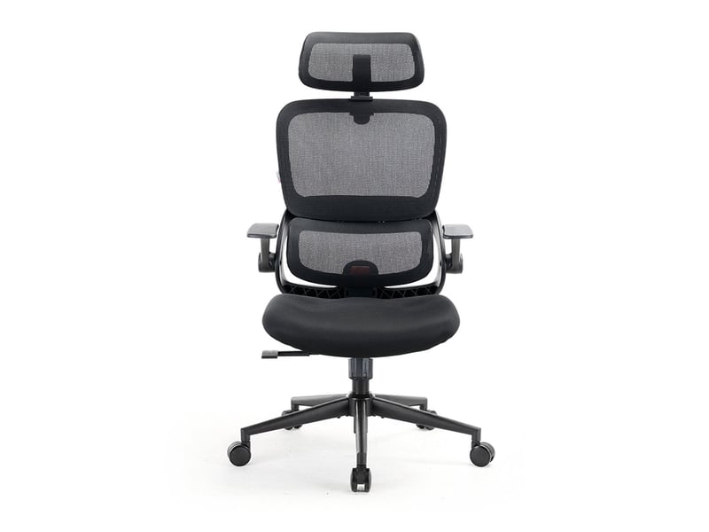  Chaise de bureau SIHOO B100 SE Noir  - Conforama A