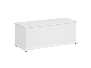 Coffre de rangement, banc de rangement avec couvercle à charnières et charnières de sécurité, banc à chaussures, meuble d'entrée, 100 x 40 x 40 cm